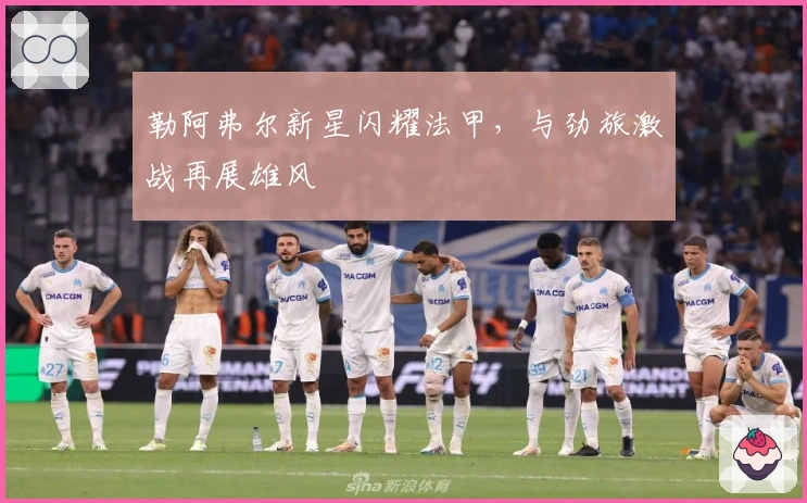 勒阿弗尔新星闪耀法甲，与劲旅激战再展雄风