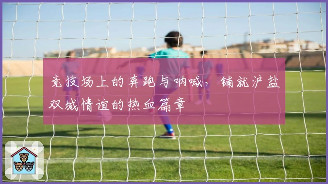 竞技场上的奔跑与呐喊，铺就沪盐双城情谊的热血篇章