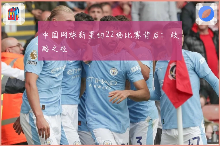 中国网球新星的22场比赛背后：歧路之径