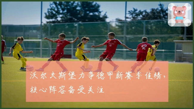 沃尔夫斯堡力争德甲新赛季佳绩，核心阵容备受关注